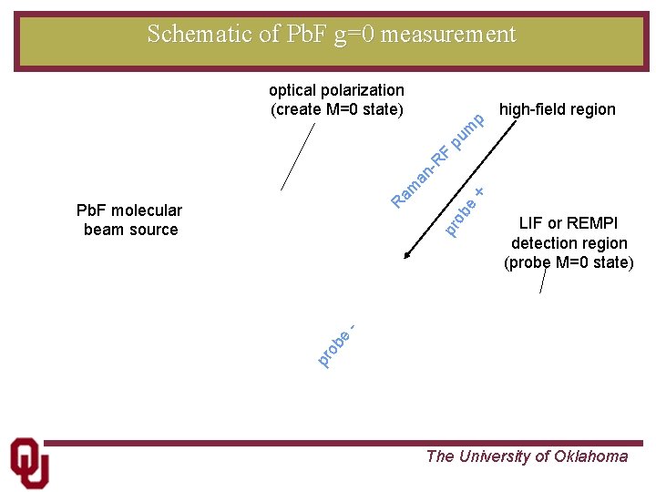 Schematic of Pb. F g=0 measurement optical polarization (create M=0 state) ob e LIF