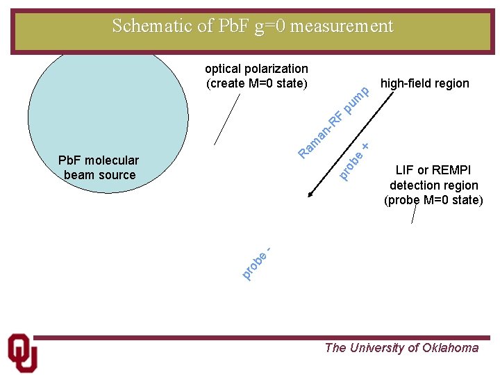 Schematic of Pb. F g=0 measurement optical polarization (create M=0 state) ob e LIF