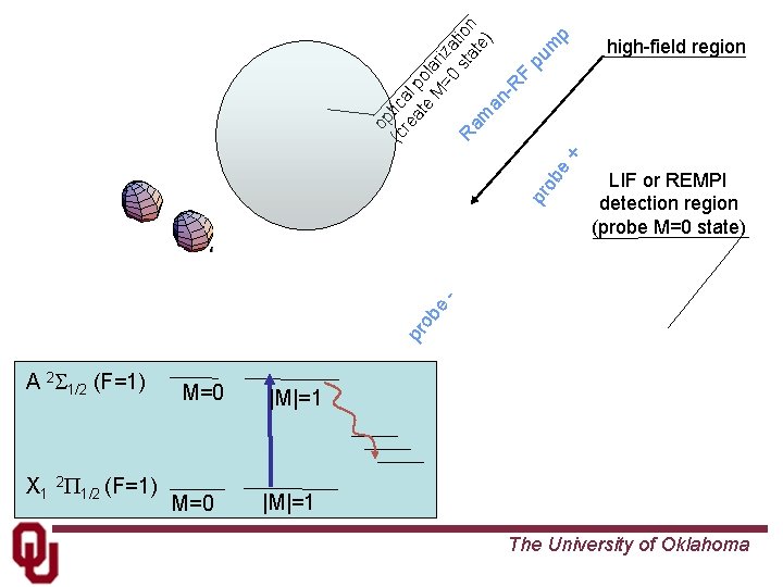 p pu m LIF or REMPI detection region (probe M=0 state) pr ob e