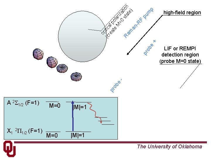 p pu m LIF or REMPI detection region (probe M=0 state) pr ob e