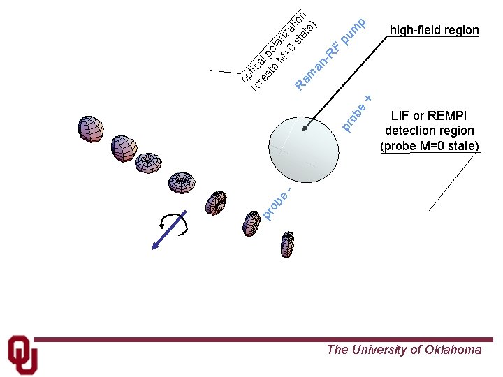 p pu m LIF or REMPI detection region (probe M=0 state) pr ob e