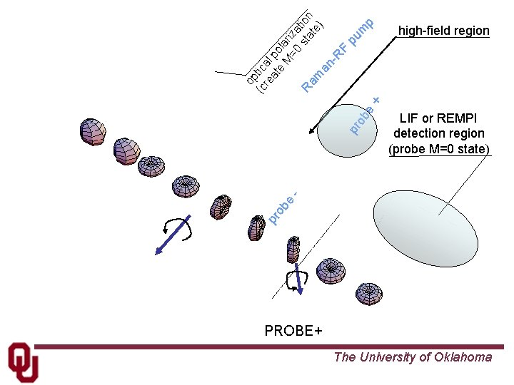 p pu m LIF or REMPI detection region (probe M=0 state) pr ob e