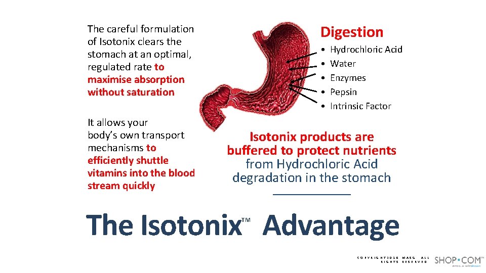 Digestion The careful formulation of Isotonix clears the stomach at an optimal, regulated rate