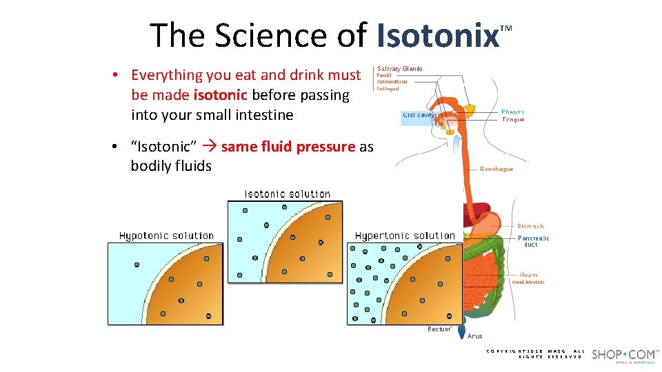The Science of Isotonix TM • Everything you eat and drink must be made