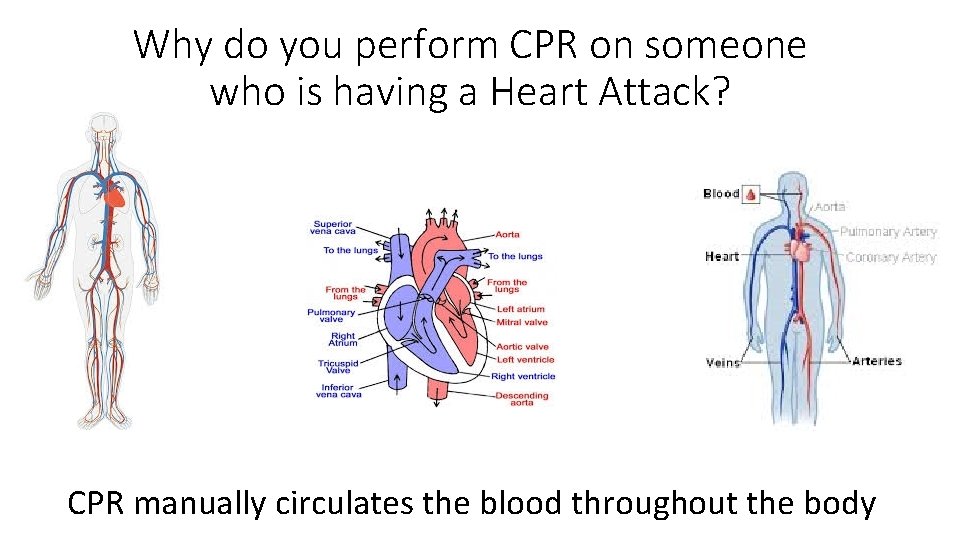 Why do you perform CPR on someone who is having a Heart Attack? CPR