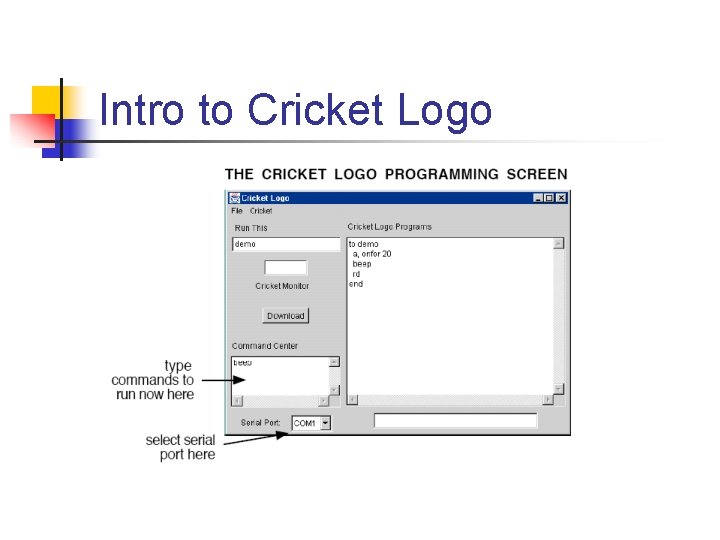 Intro to Cricket Logo 