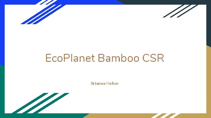 Eco. Planet Bamboo CSR Brianna Holser 