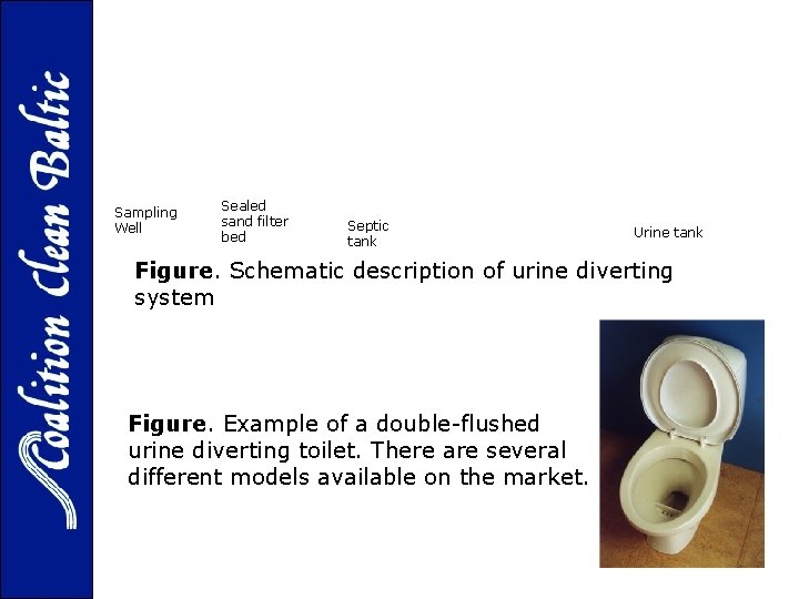 Sampling Well Sealed sand filter bed Septic tank Urine tank Figure. Schematic description of