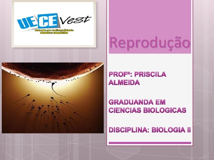 Reprodução 