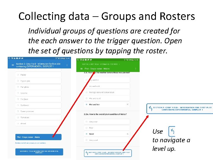 Collecting data – Groups and Rosters Individual groups of questions are created for the