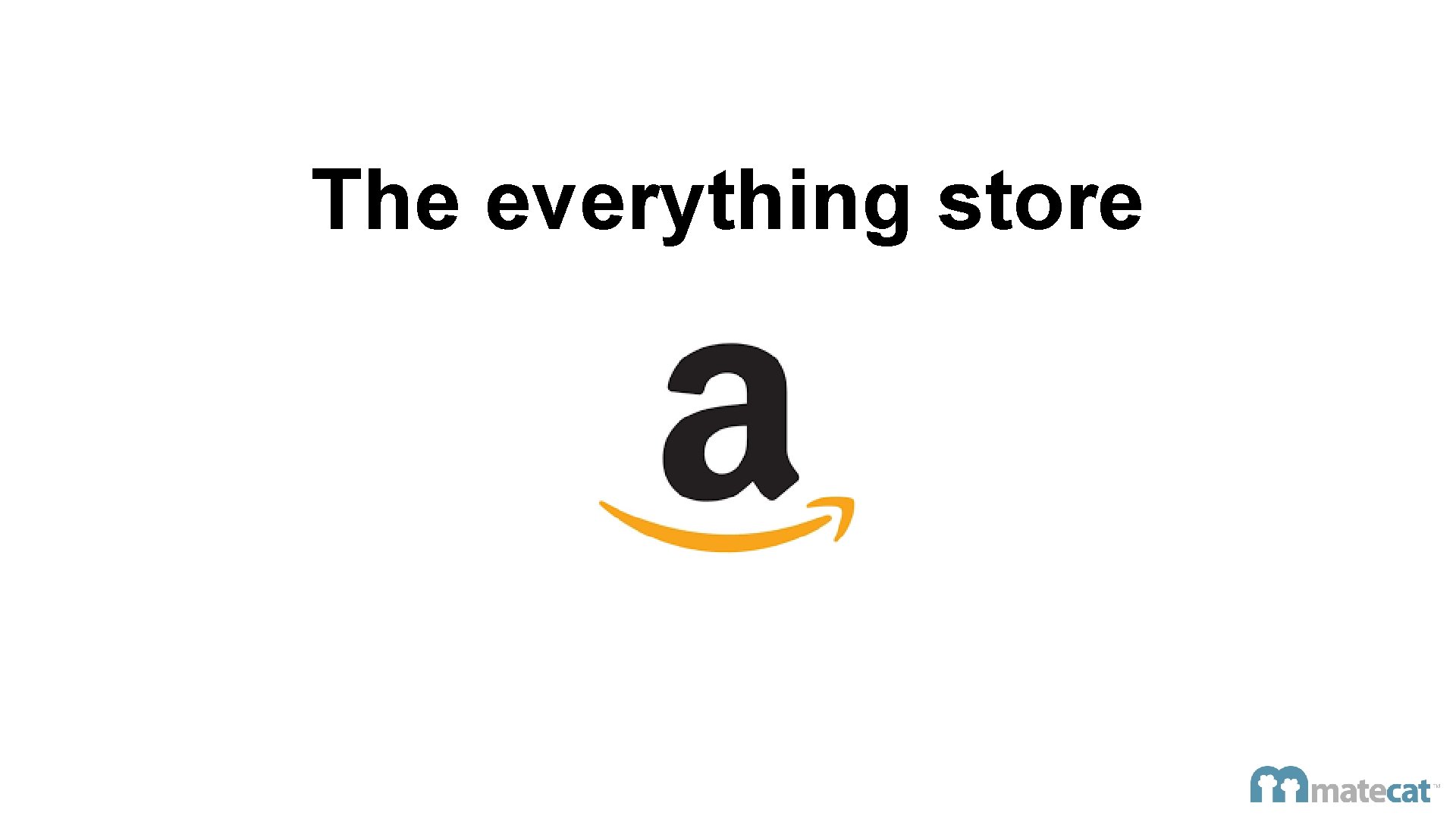 The everything store 