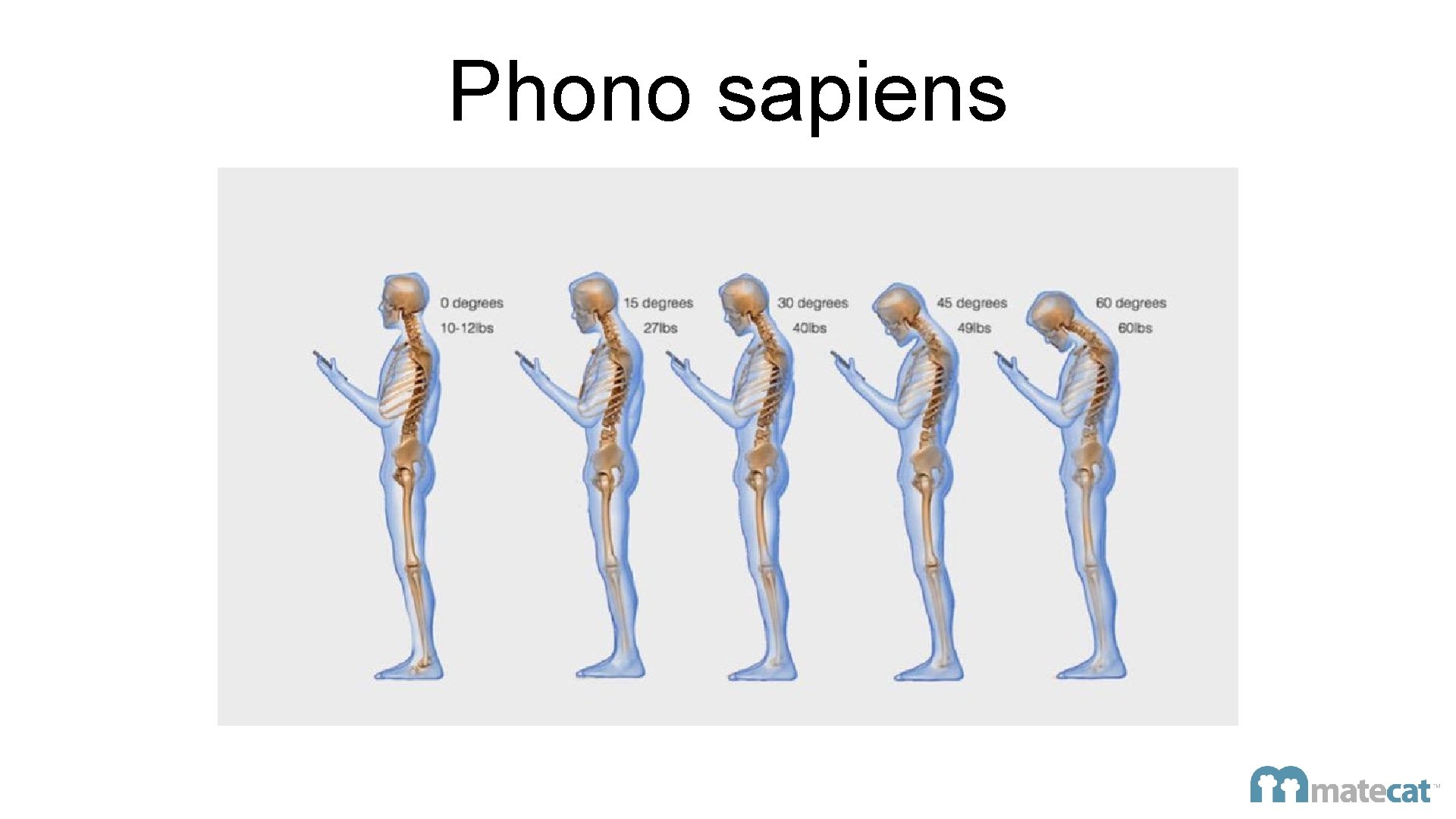 Phono sapiens 