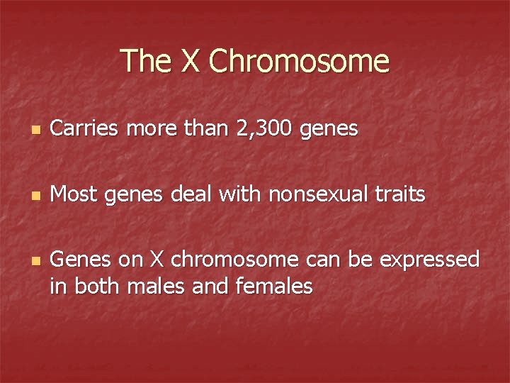 The X Chromosome n Carries more than 2, 300 genes n Most genes deal
