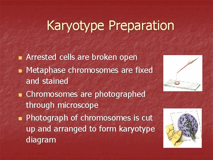 Karyotype Preparation n n Arrested cells are broken open Metaphase chromosomes are fixed and