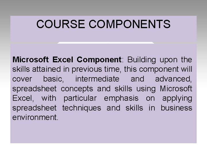 COURSE COMPONENTS Microsoft Excel Component: Building upon the skills attained in previous time, this
