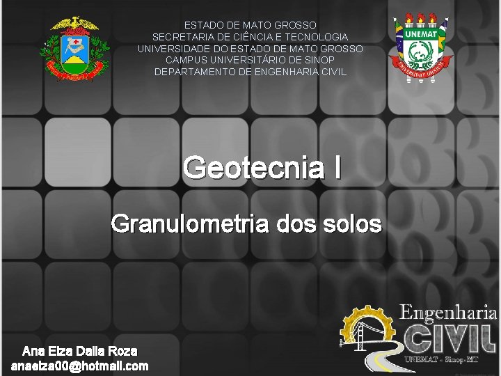 ESTADO DE MATO GROSSO SECRETARIA DE CIÊNCIA E TECNOLOGIA UNIVERSIDADE DO ESTADO DE MATO