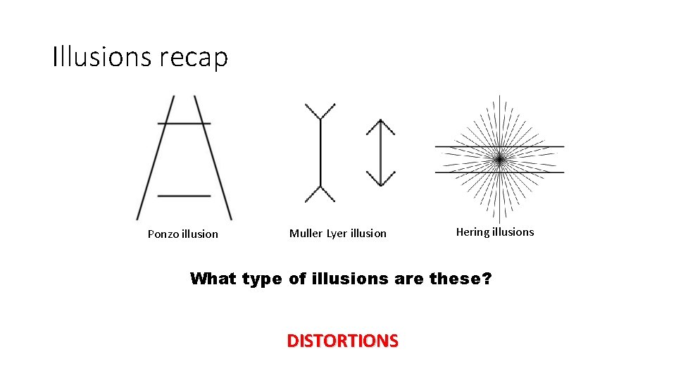 Illusions recap Ponzo illusion Muller Lyer illusion Hering illusions What type of illusions are