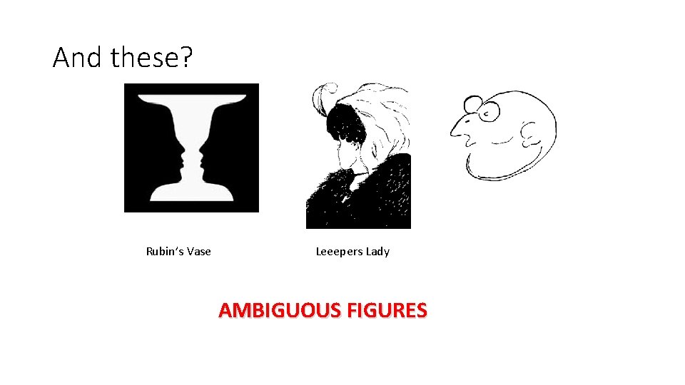 And these? Rubin’s Vase Leeepers Lady AMBIGUOUS FIGURES 