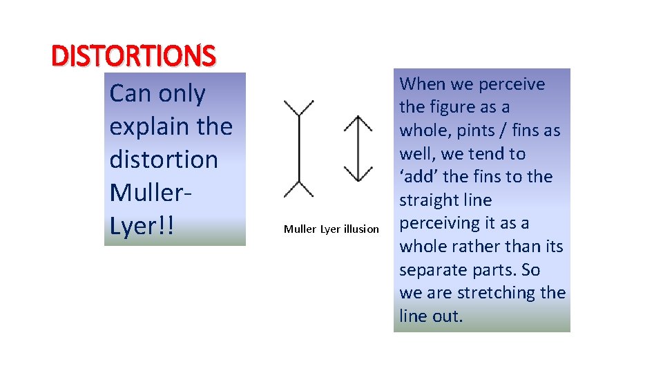 DISTORTIONS Can only explain the distortion Muller. Ponzo illusion Lyer!! Muller Lyer illusion When