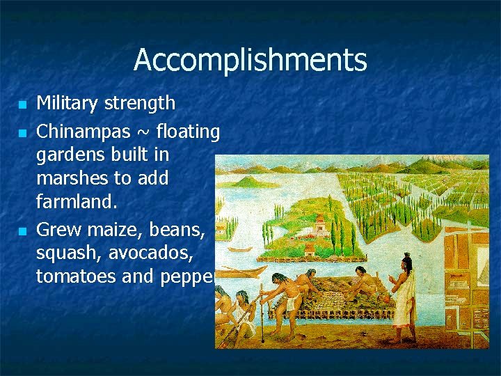 Accomplishments n n n Military strength Chinampas ~ floating gardens built in marshes to