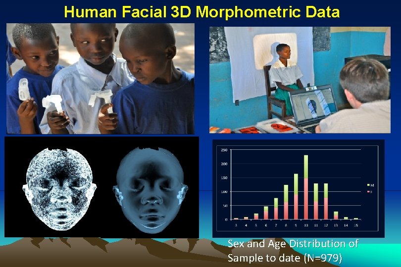 Human Facial 3 D Morphometric Data Sex and Age Distribution of Sample to date