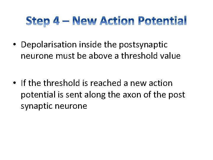  • Depolarisation inside the postsynaptic neurone must be above a threshold value •