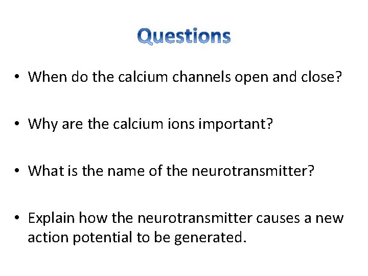  • When do the calcium channels open and close? • Why are the