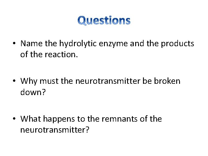  • Name the hydrolytic enzyme and the products of the reaction. • Why