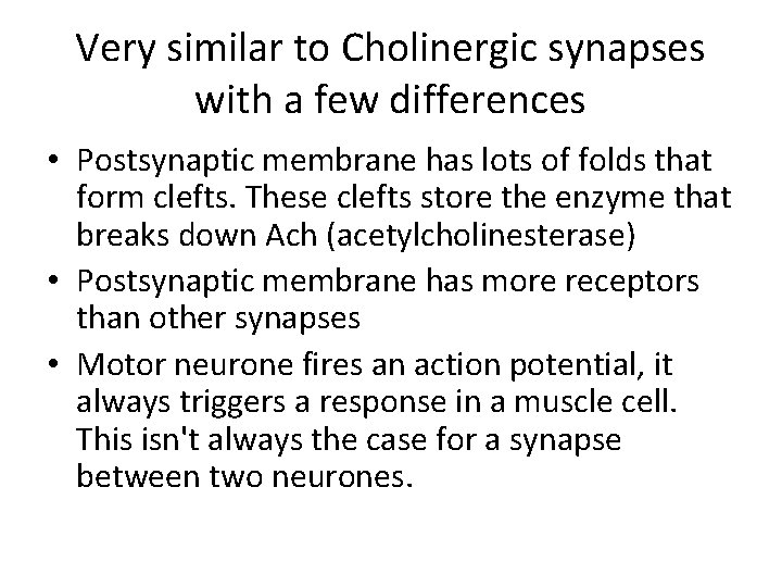 Very similar to Cholinergic synapses with a few differences • Postsynaptic membrane has lots