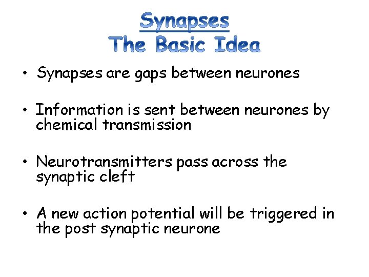  • Synapses are gaps between neurones • Information is sent between neurones by