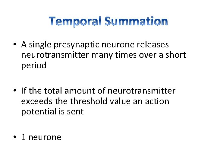  • A single presynaptic neurone releases neurotransmitter many times over a short period