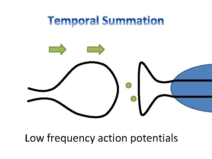 Low frequency action potentials 