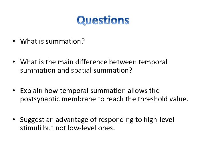  • What is summation? • What is the main difference between temporal summation