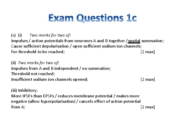 (c) (i) Two marks for two of: Impulses / action potentials from neurones A