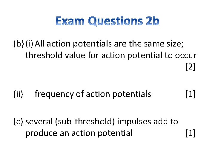 (b) (i) All action potentials are the same size; threshold value for action potential