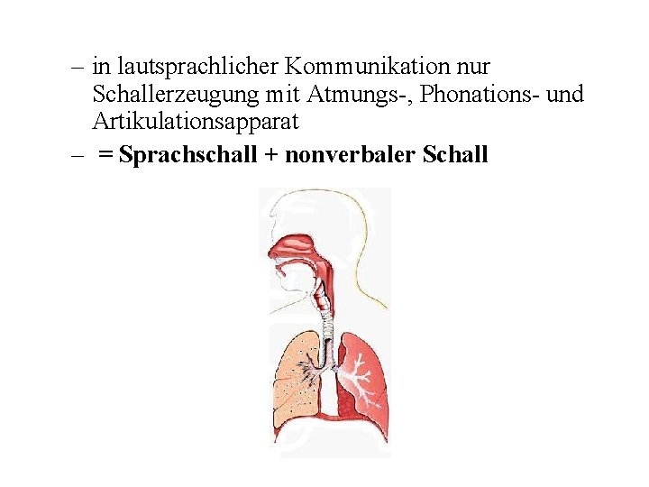 – in lautsprachlicher Kommunikation nur Schallerzeugung mit Atmungs-, Phonations- und Artikulationsapparat – = Sprachschall