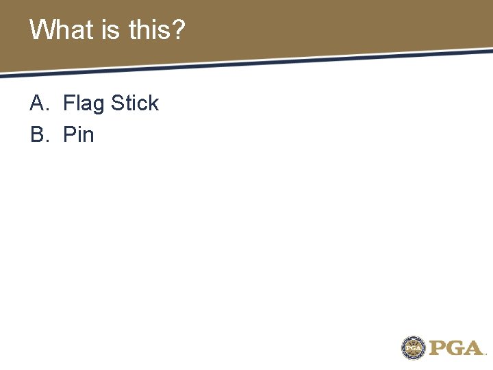 What is this? A. Flag Stick B. Pin 