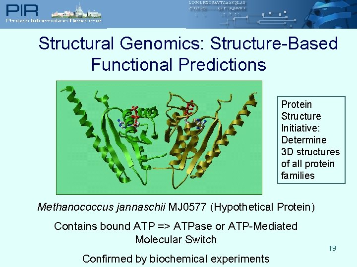 Structural Genomics: Structure-Based Functional Predictions Protein Structure Initiative: Determine 3 D structures of all