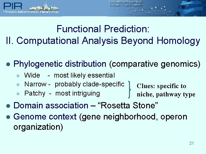 Functional Prediction: II. Computational Analysis Beyond Homology l Phylogenetic distribution (comparative genomics) l l