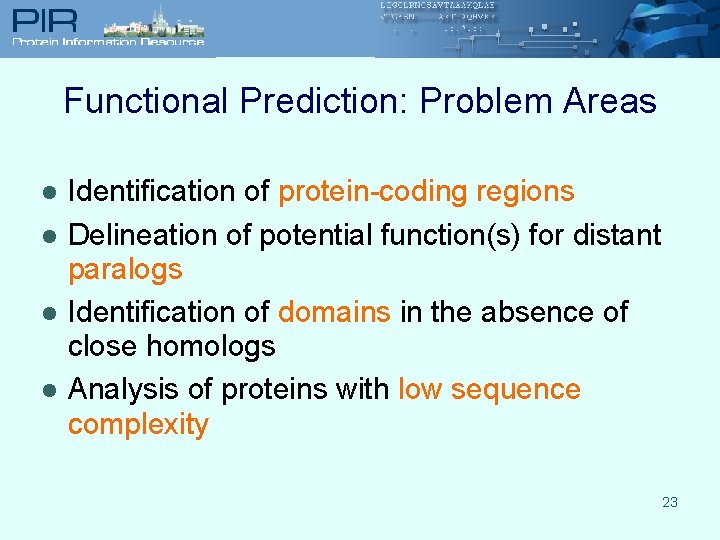 Functional Prediction: Problem Areas l l Identification of protein-coding regions Delineation of potential function(s)