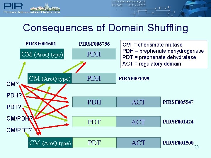 Consequences of Domain Shuffling PIRSF 001501 PIRSF 006786 CM (Aro. Q type) PDH CM?