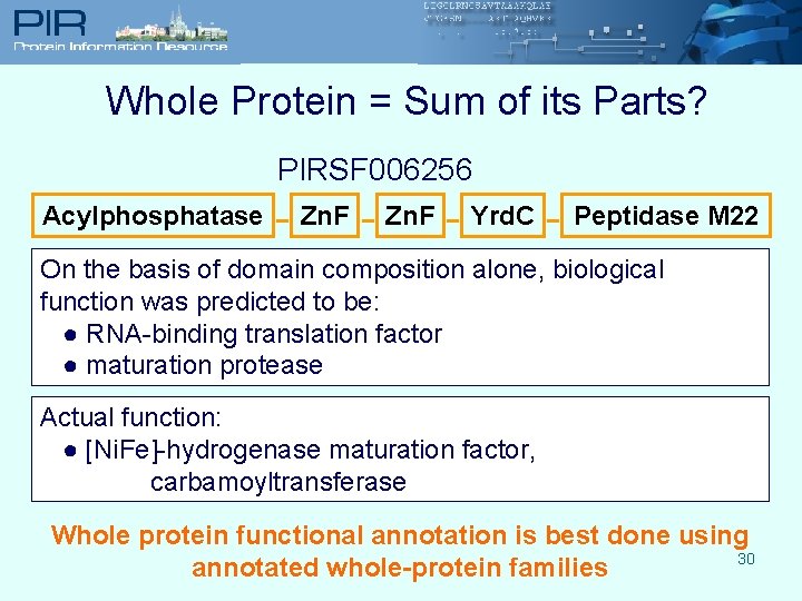 Whole Protein = Sum of its Parts? PIRSF 006256 Acylphosphatase - Zn. F -