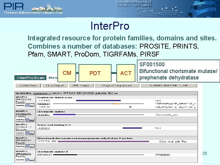 Inter. Pro Integrated resource for protein families, domains and sites. Combines a number of