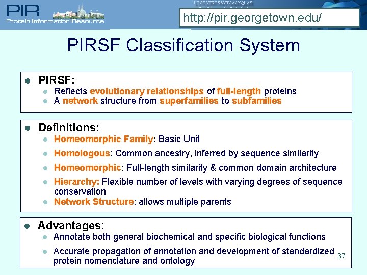 http: //pir. georgetown. edu/ PIRSF Classification System l PIRSF: l l l Definitions: l