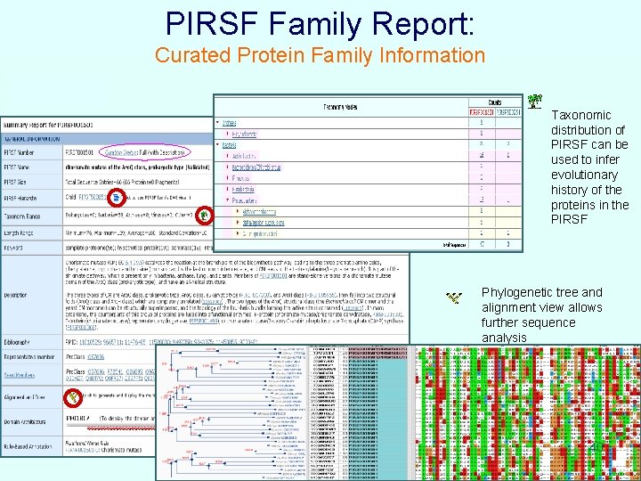 PIRSF Family Report: Curated Protein Family Information Taxonomic distribution of PIRSF can be used