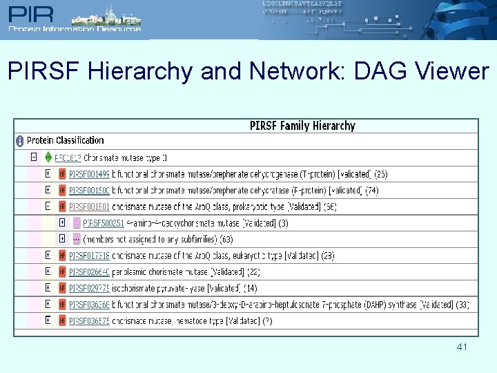 PIRSF Hierarchy and Network: DAG Viewer 41 