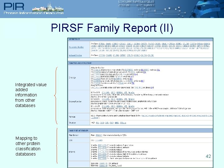 PIRSF Family Report (II) Integrated value added information from other databases Mapping to other