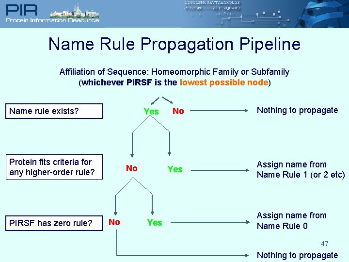 Name Rule Propagation Pipeline Affiliation of Sequence: Homeomorphic Family or Subfamily (whichever PIRSF is