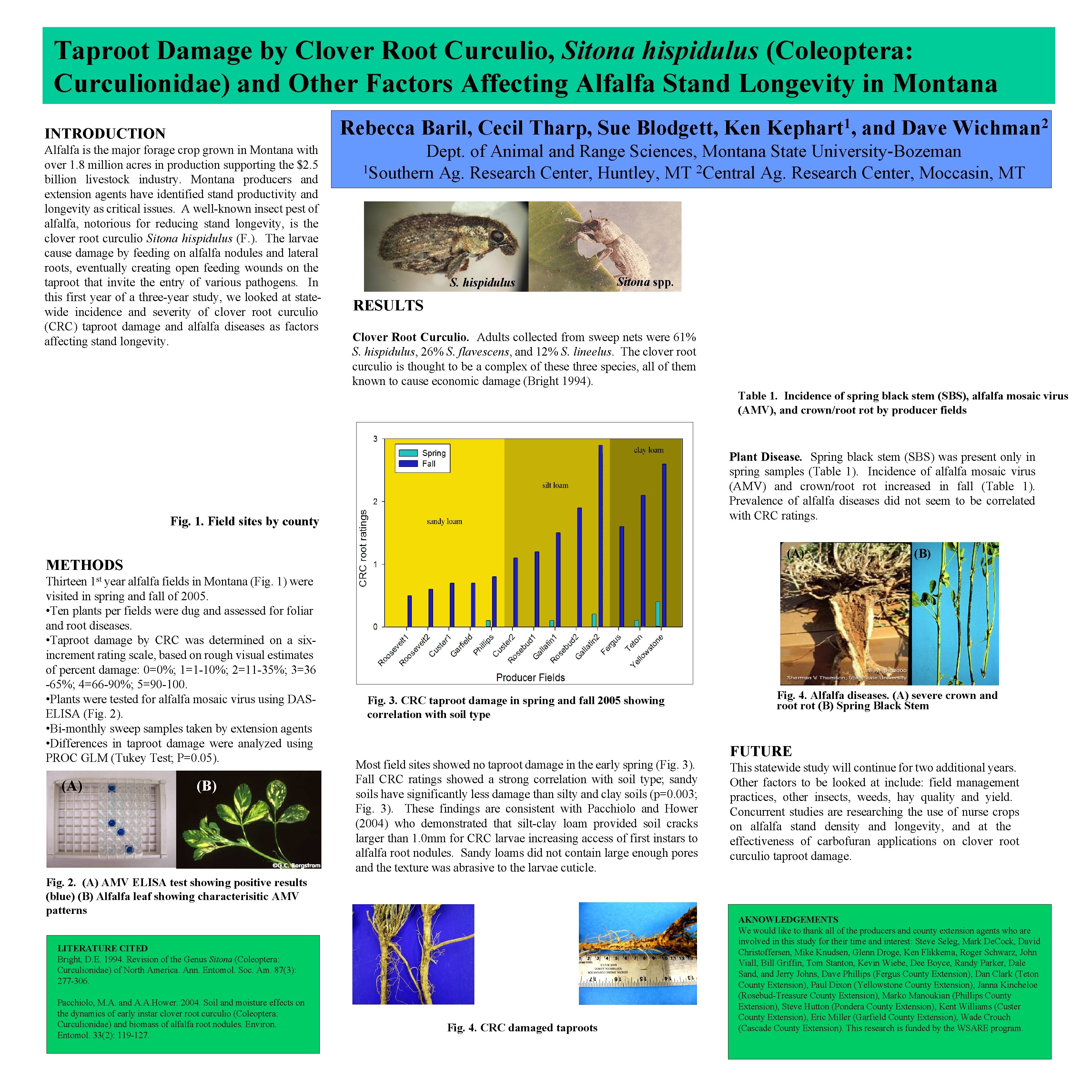 Taproot Damage by Clover Root Curculio, Sitona hispidulus (Coleoptera: Curculionidae) and Other Factors Affecting
