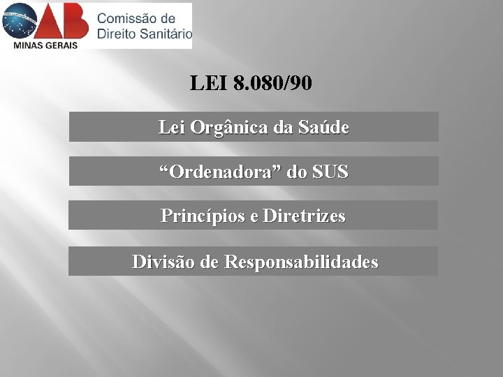 LEI 8. 080/90 Lei Orgânica da Saúde “Ordenadora” do SUS Princípios e Diretrizes Divisão